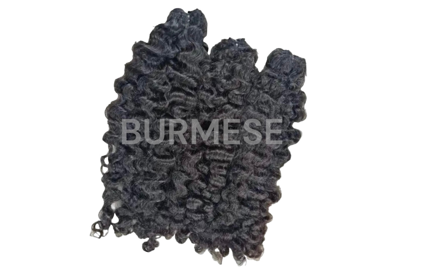 BURMESE RAW -CURLY